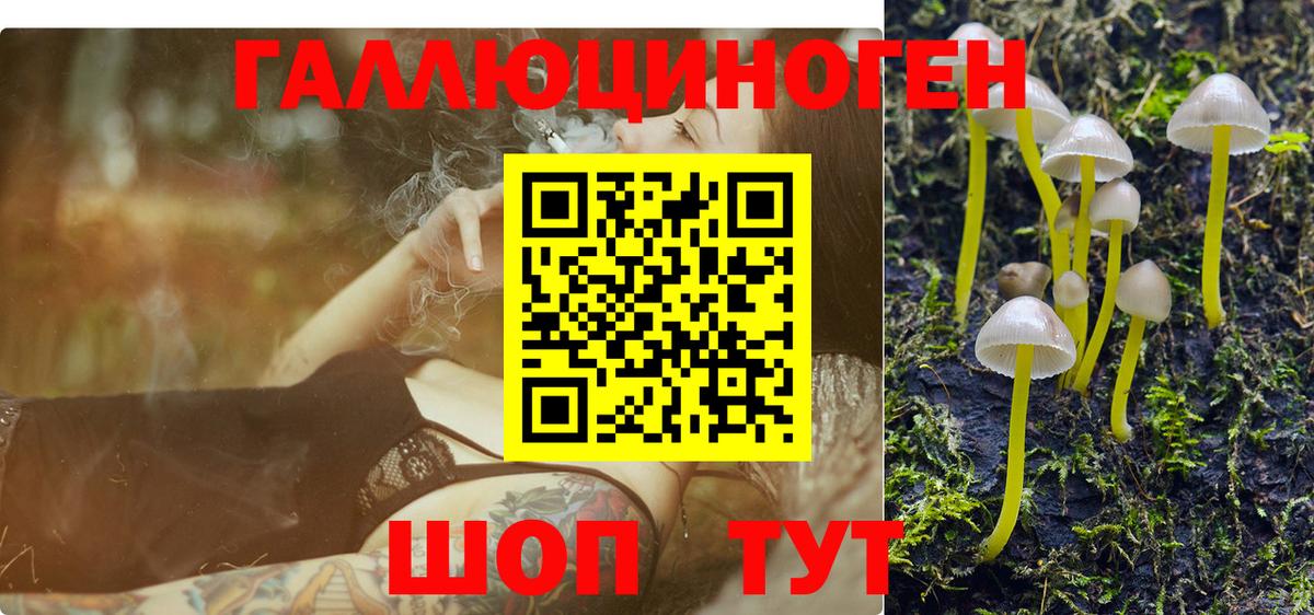 Галлюциногенные грибы Cubensis Элиста